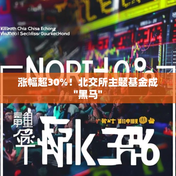 涨幅超30%！北交所主题基金成