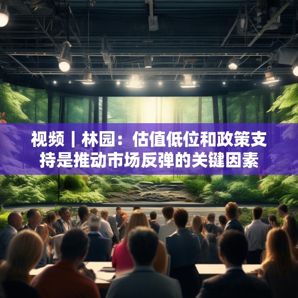 视频｜林园：估值低位和政策支持是推动市场反弹的关键因素
