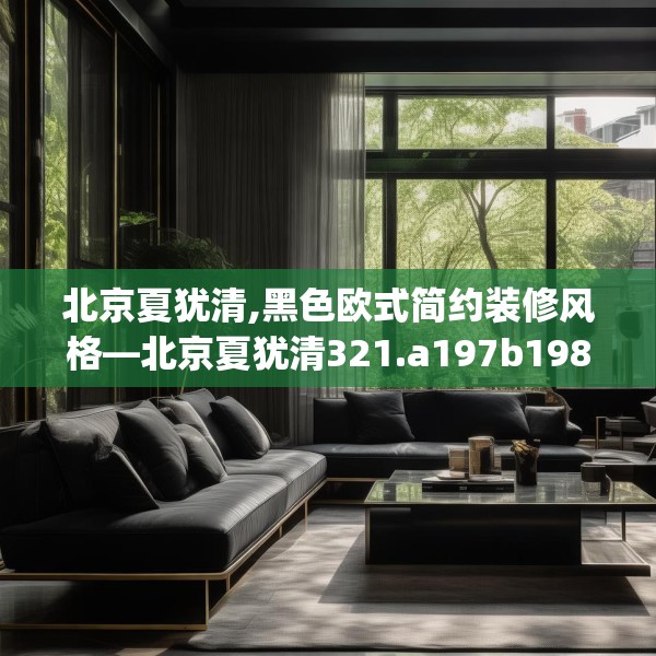 北京夏犹清,黑色欧式简约装修风格—北京夏犹清321.a197b198c201fgy.208fhsg