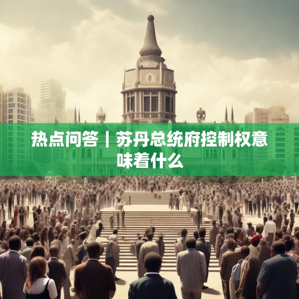 热点问答｜苏丹总统府控制权意味着什么