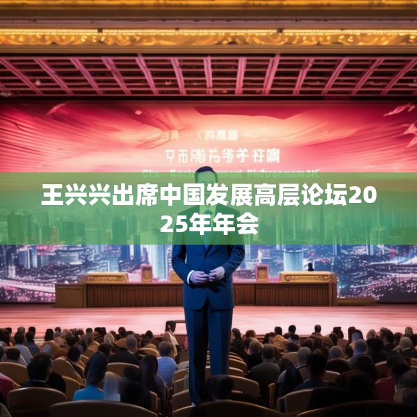 王兴兴出席中国发展高层论坛2025年年会