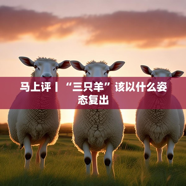 马上评丨“三只羊”该以什么姿态复出