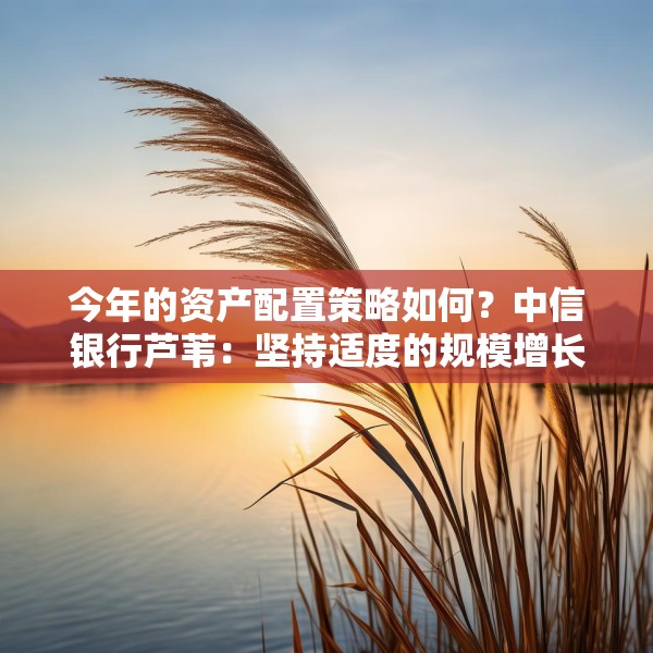 今年的资产配置策略如何？中信银行芦苇：坚持适度的规模增长，重在优化结构