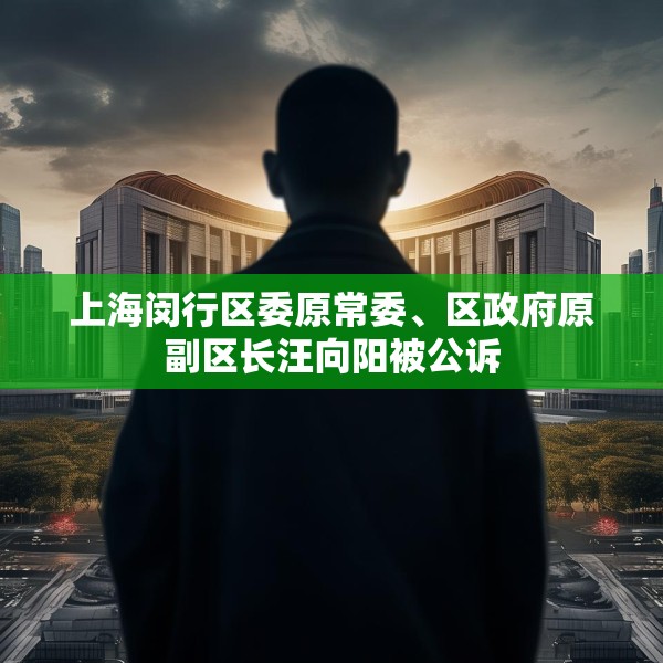 上海闵行区委原常委、区政府原副区长汪向阳被公诉