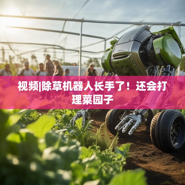 2025年4月12日 第12页