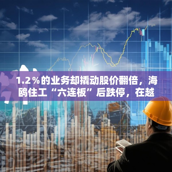 1.2％的业务却撬动股价翻倍，海鸥住工“六连板”后跌停，在越建厂能否扛住关税冲击？