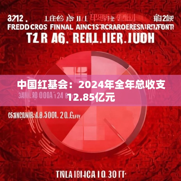 中国红基会：2024年全年总收支12.85亿元