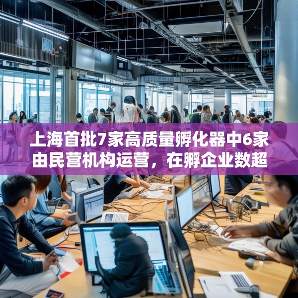 上海首批7家高质量孵化器中6家由民营机构运营，在孵企业数超200家