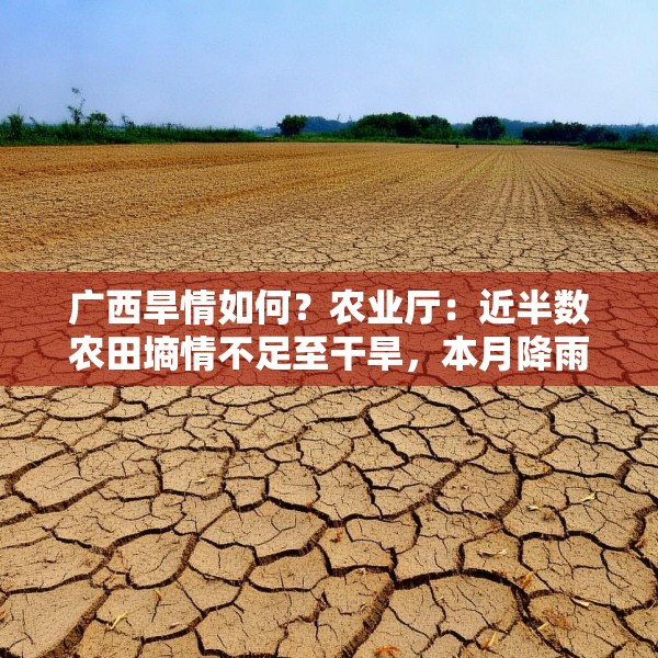 2025年4月18日 第13页