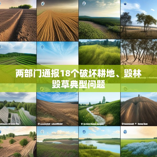 两部门通报18个破坏耕地、毁林毁草典型问题