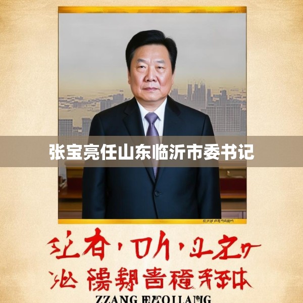 张宝亮任山东临沂市委书记