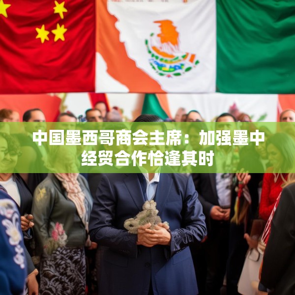 中国墨西哥商会主席：加强墨中经贸合作恰逢其时