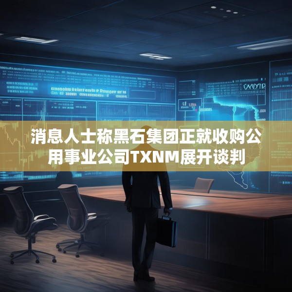 消息人士称黑石集团正就收购公用事业公司TXNM展开谈判