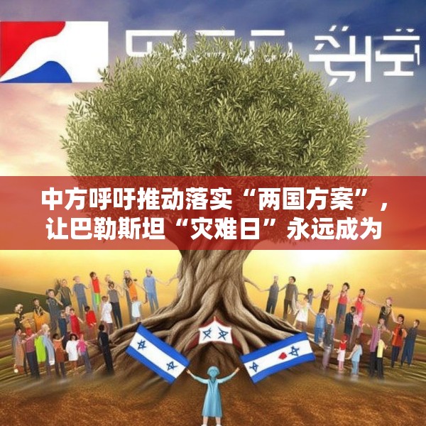 中方呼吁推动落实“两国方案”，让巴勒斯坦“灾难日”永远成为历史