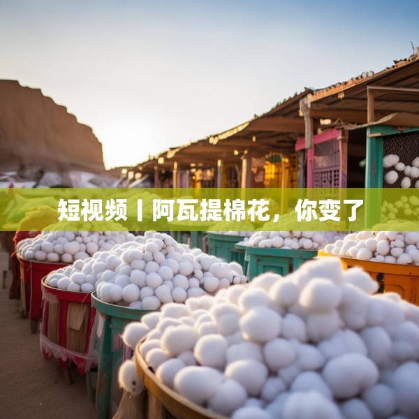 短视频丨阿瓦提棉花，你变了