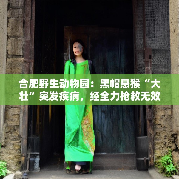 合肥野生动物园：黑帽悬猴“大壮”突发疾病，经全力抢救无效离世