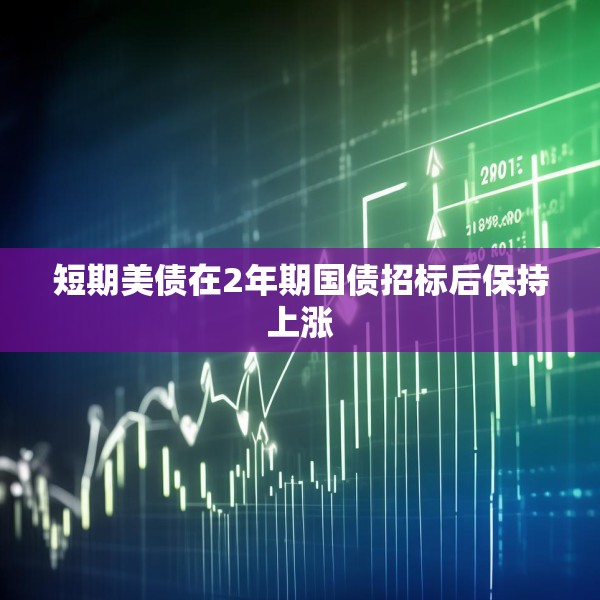 短期美债在2年期国债招标后保持上涨