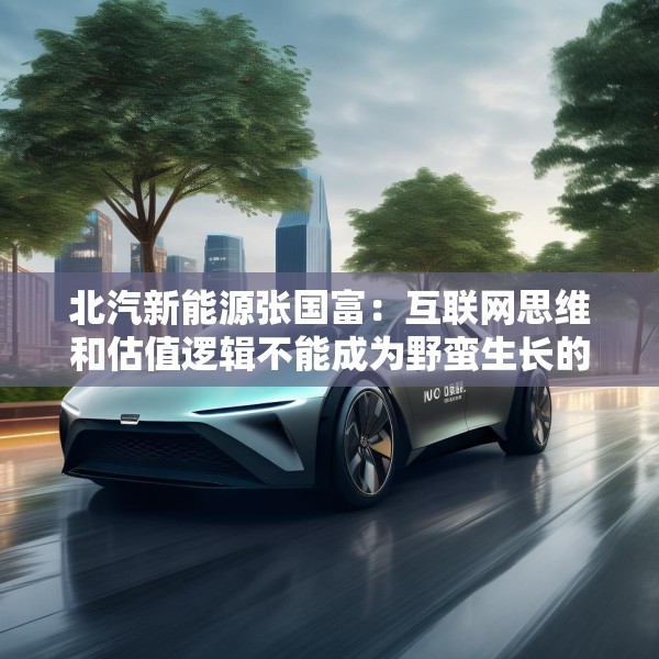 北汽新能源张国富：互联网思维和估值逻辑不能成为野蛮生长的理由