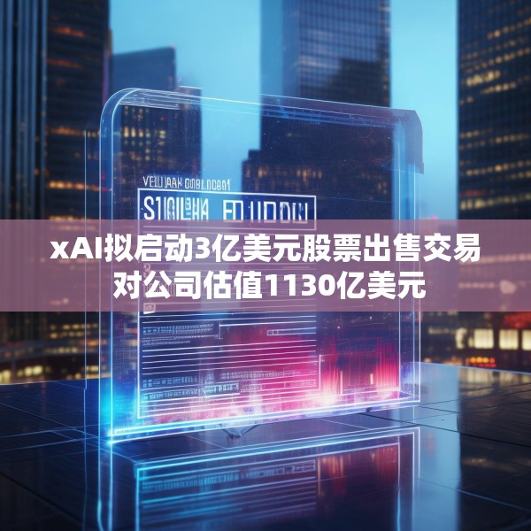 xAI拟启动3亿美元股票出售交易 对公司估值1130亿美元