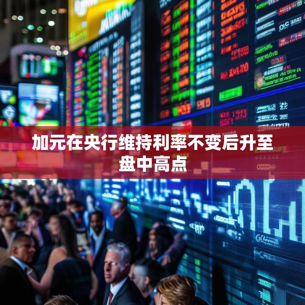 加元在央行维持利率不变后升至盘中高点