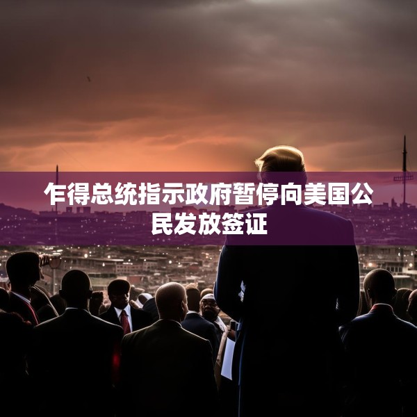 乍得总统指示政府暂停向美国公民发放签证