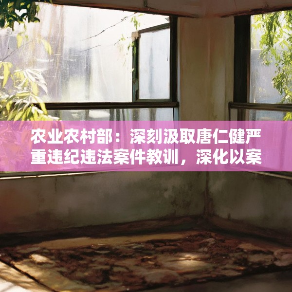 2025年6月6日 第13页