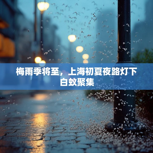 梅雨季将至，上海初夏夜路灯下白蚁聚集