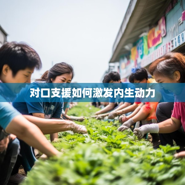 对口支援如何激发内生动力