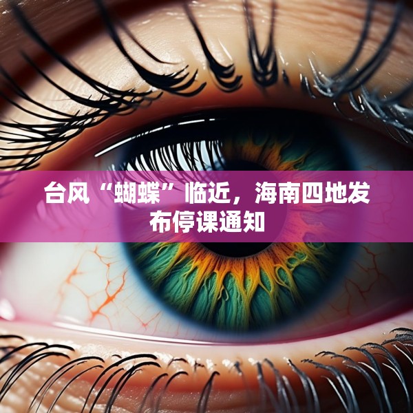 台风“蝴蝶”临近，海南四地发布停课通知